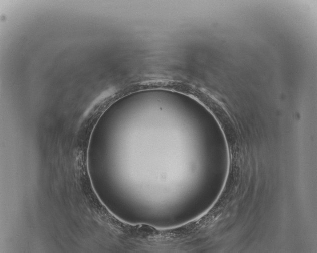 X0000073711351200608101828