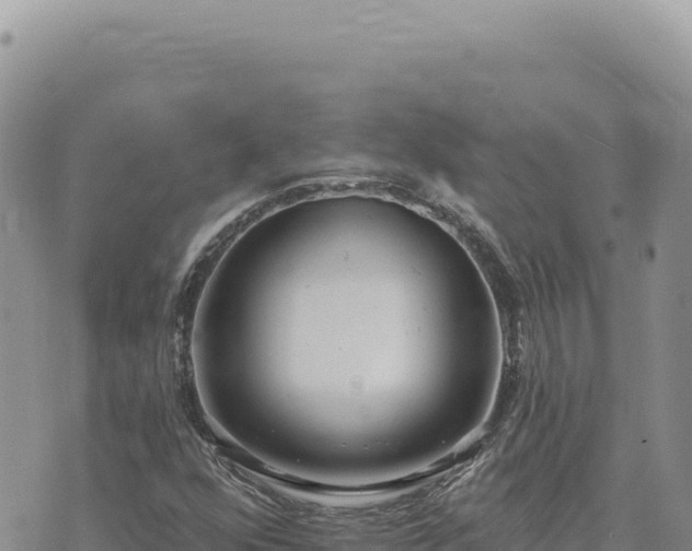 X0000073711352200608101828