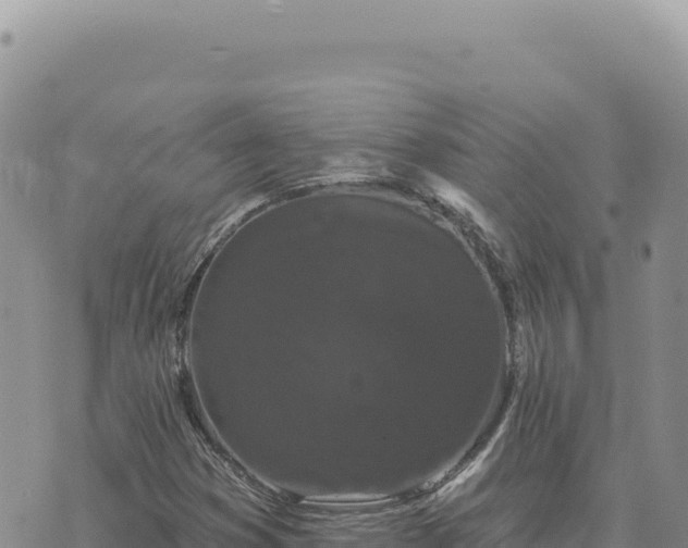 X0000073711353200608101828