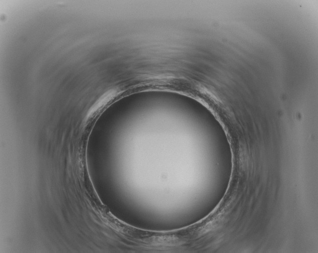 X0000073711354200608101828