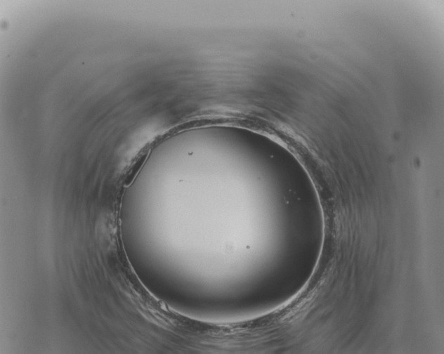 X0000073711355200608101828