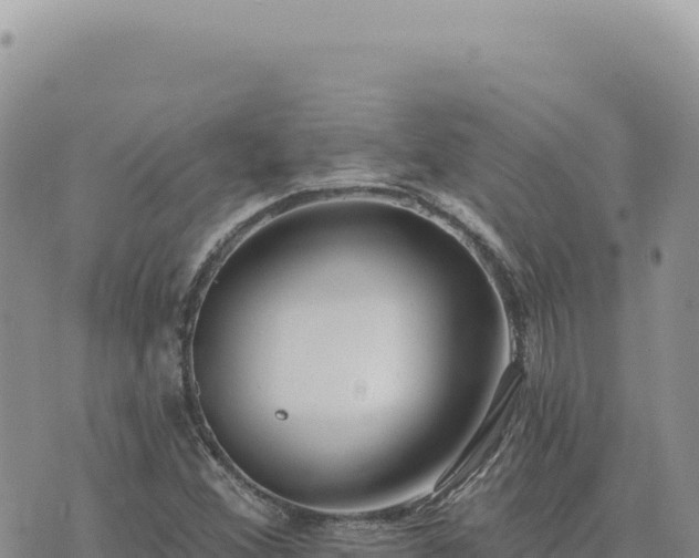 X0000073711356200608101828