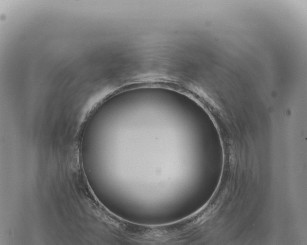 X0000073711358200608101828