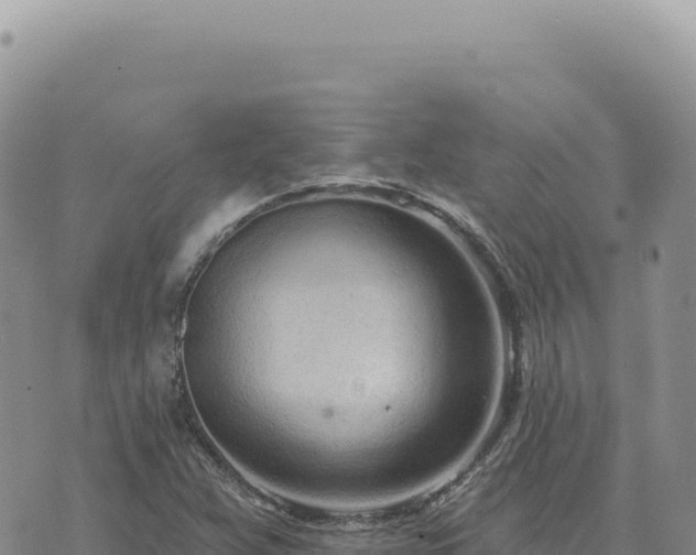 X0000073711359200608101828