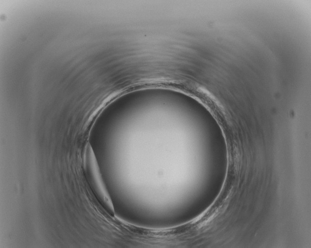 X0000073711361200608101828