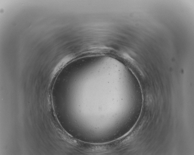 X0000073711362200608101828