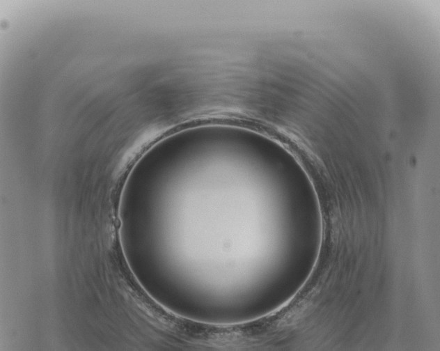 X0000073711363200608101828