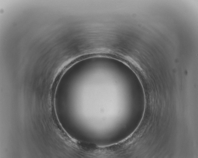 X0000073711364200608101828