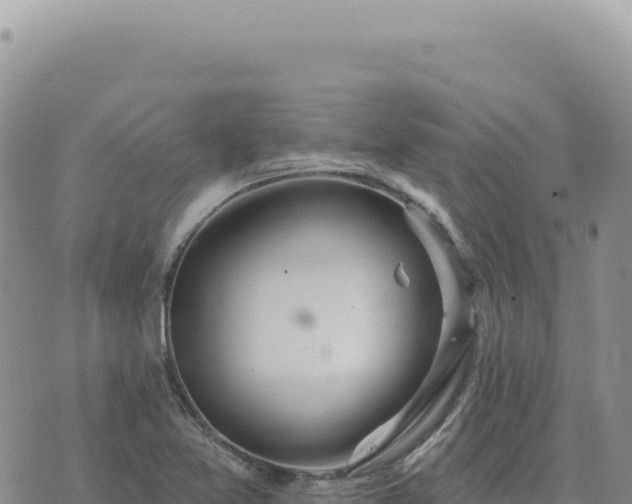 X0000073711365200608101828