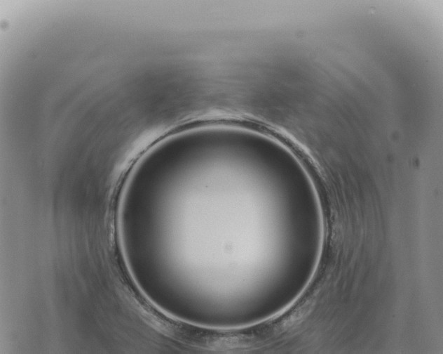 X0000073711367200608101828