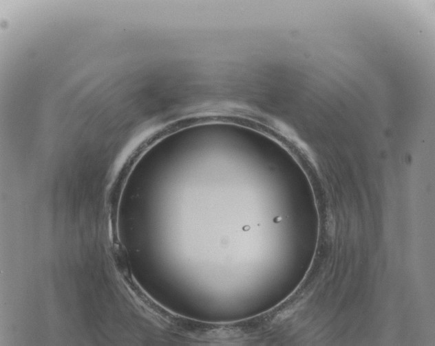 X0000073711368200608101828