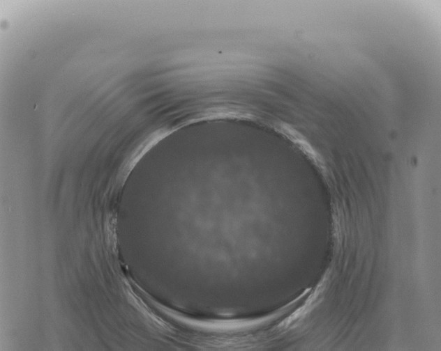 X0000073711369200608101828