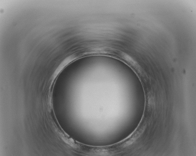 X0000073711370200608101828