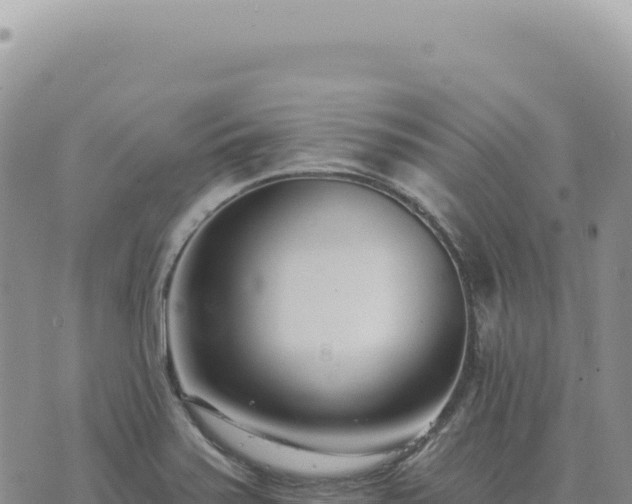 X0000073711371200608101828