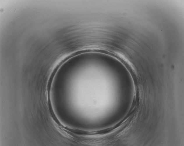 X0000073711372200608101828