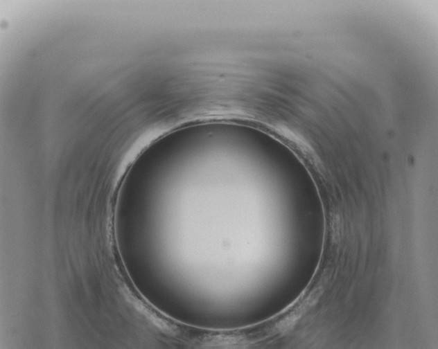 X0000073711374200608101828