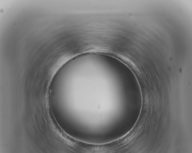 X0000073711375200608101828