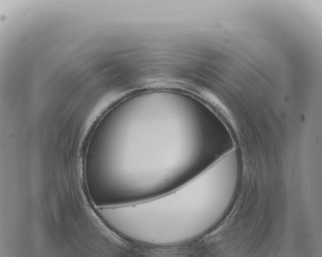 X0000073711376200608101828