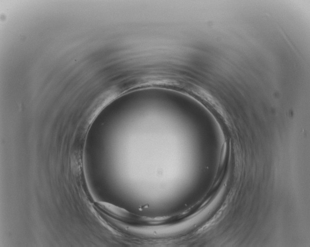 X0000073711377200608101828