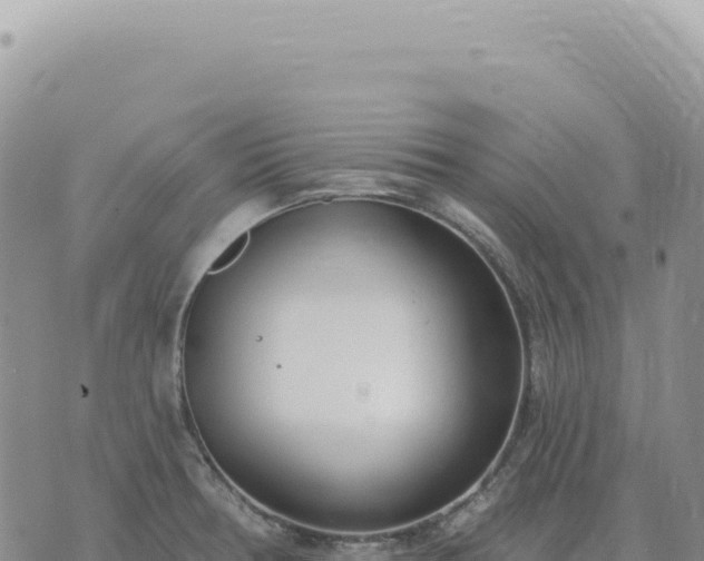 X0000073711378200608101828