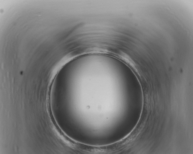 X0000073711379200608101828