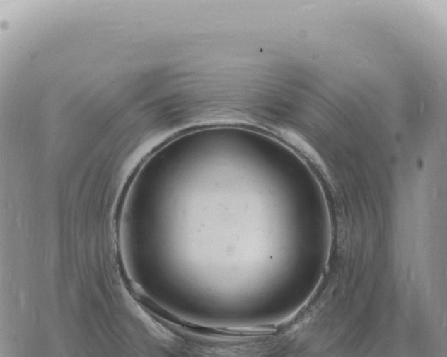 X0000073711380200608101828