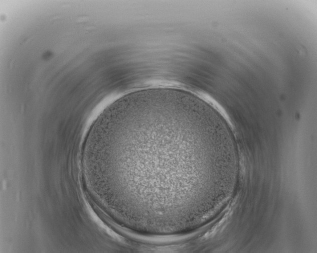 X0000073711381200608101828