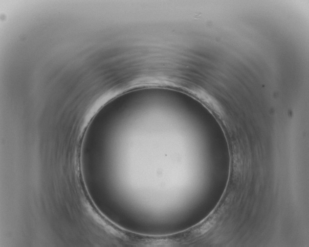 X0000073711382200608101828