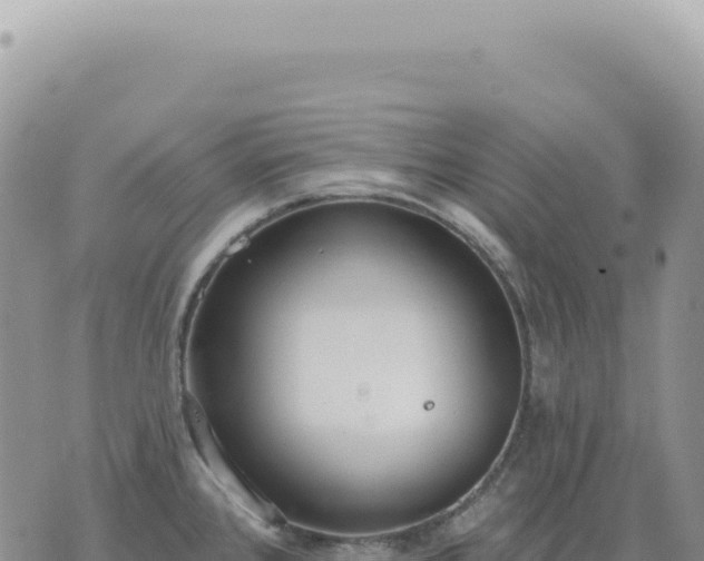 X0000073711384200608101828