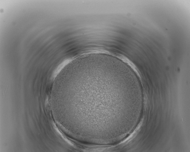 X0000073711385200608101828