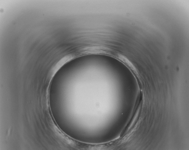 X0000073711386200608101828