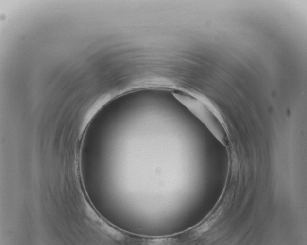 X0000073711390200608101828