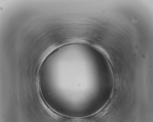 X0000073711391200608101828