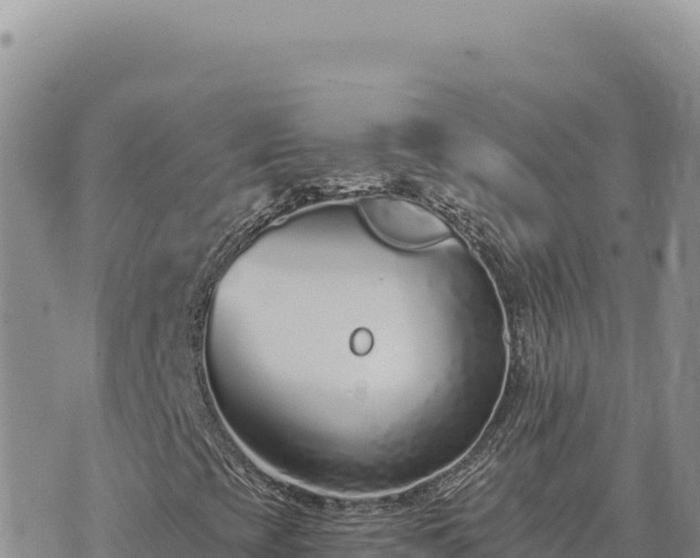 X0000073711393200608101827