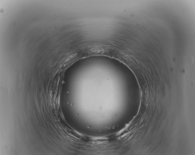 X0000073711394200608101827