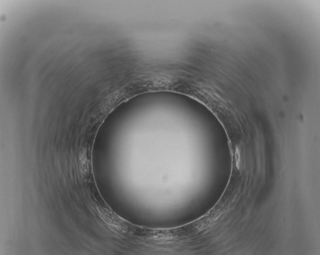 X0000073711395200608101827