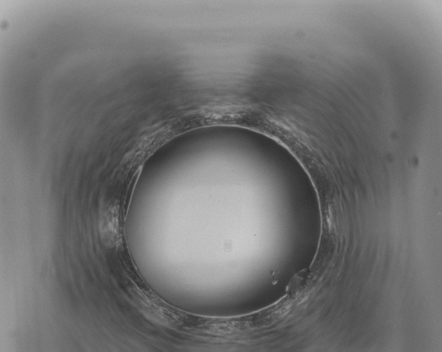 X0000073711396200608101827