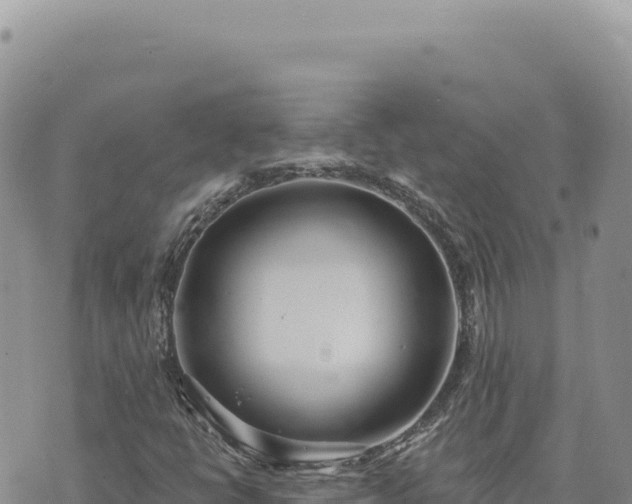 X0000073711398200608101827