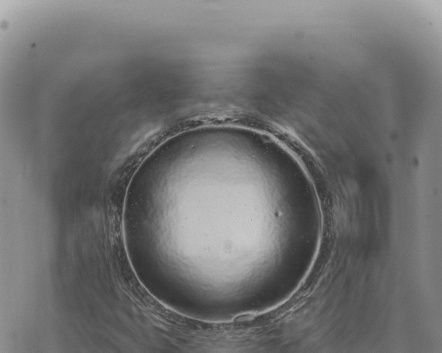 X0000073711399200608101827