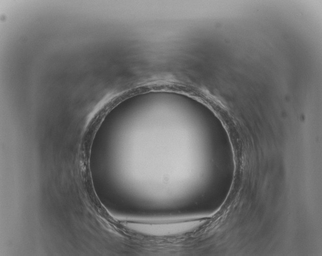 X0000073711400200608101827