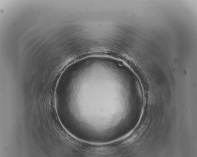 X0000073711401200608101827