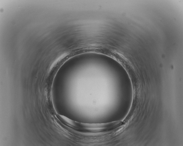 X0000073711402200608101827