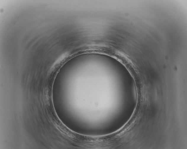 X0000073711403200608101827