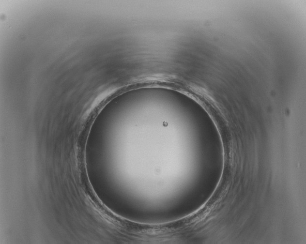 X0000073711404200608101827