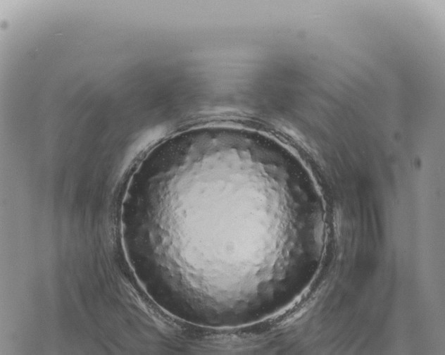 X0000073711405200608101827