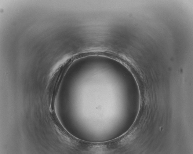 X0000073711406200608101827