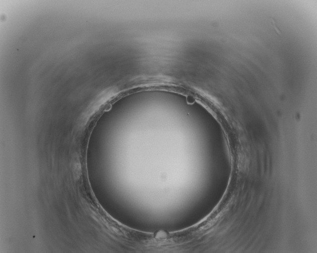 X0000073711407200608101827