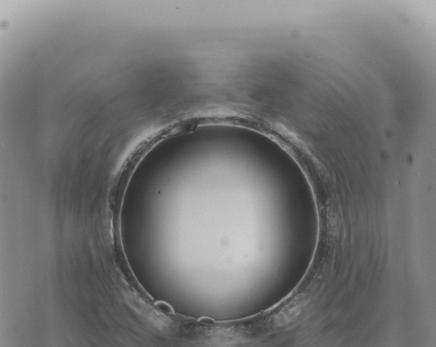 X0000073711408200608101827