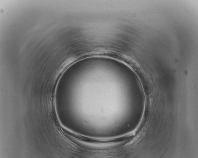 X0000073711409200608101827