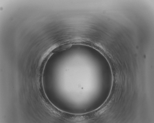 X0000073711410200608101827